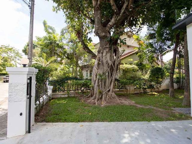 place photo 55