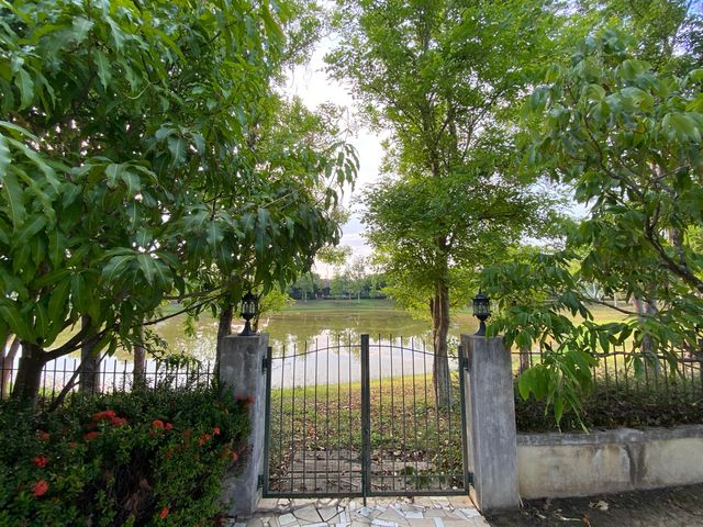 place photo 49