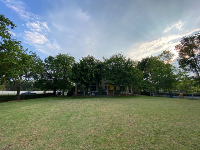 place photo 45