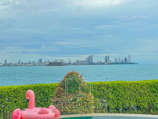 place photo 43