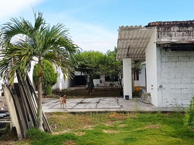 place photo 20