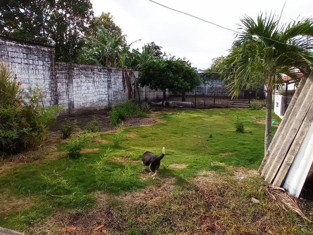 place photo 22