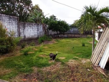 place photo 22