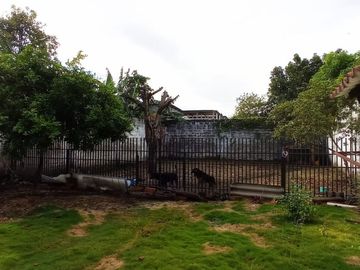 place photo 48