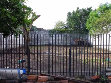 place photo 50