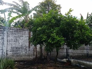 place photo 53