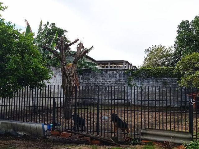 place photo 57