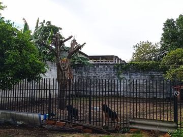place photo 57