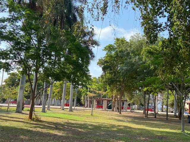 place photo 8
