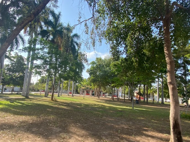 place photo 7