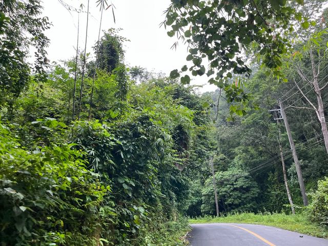 place photo 63