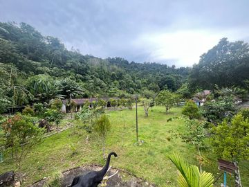 place photo 53