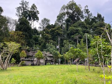 place photo 43