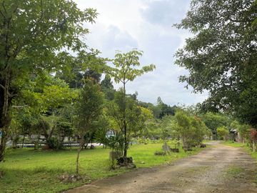 place photo 55