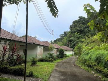 place photo 42