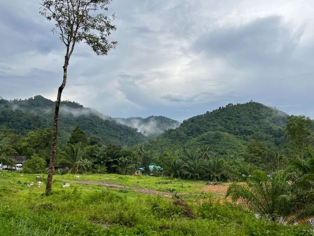 place photo 66