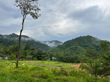 place photo 66