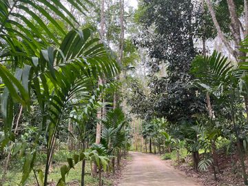 place photo 62