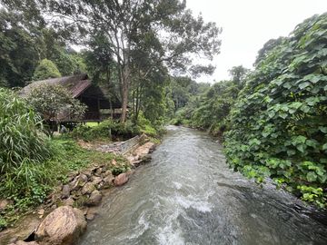 place photo 59