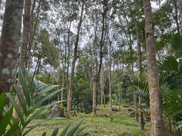 place photo 61