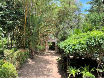 place photo 41