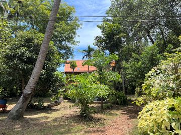 place photo 43