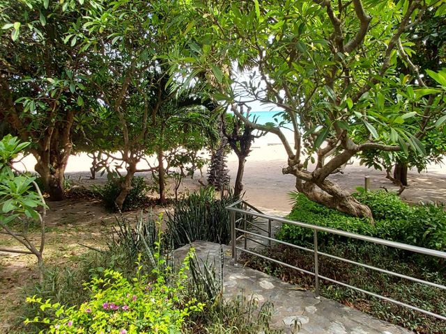 place photo 39