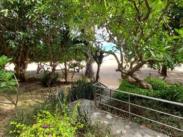 place photo 39