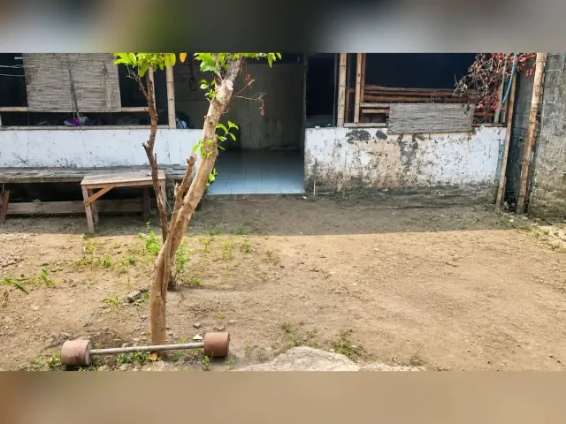 place photo 4