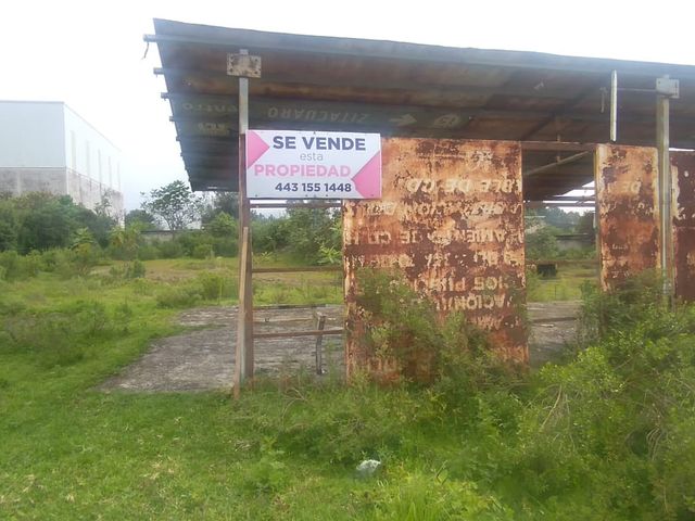 place photo 12