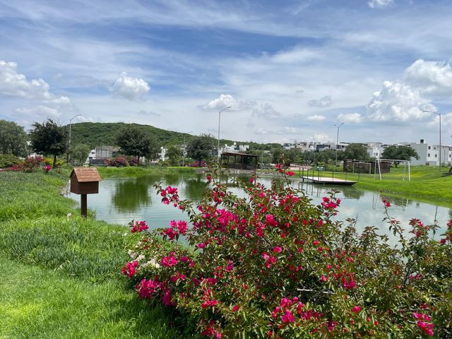 place photo 27