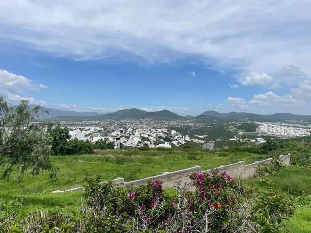 place photo 36