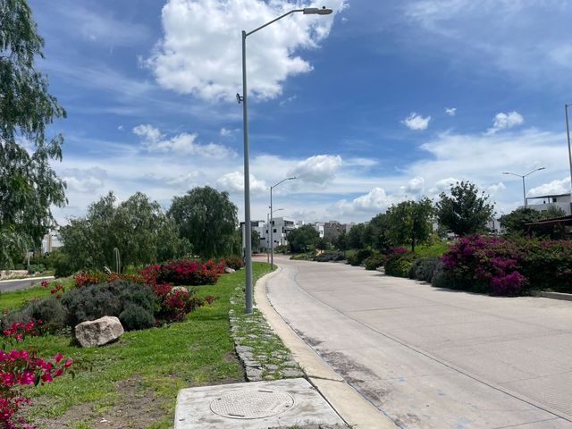 place photo 37