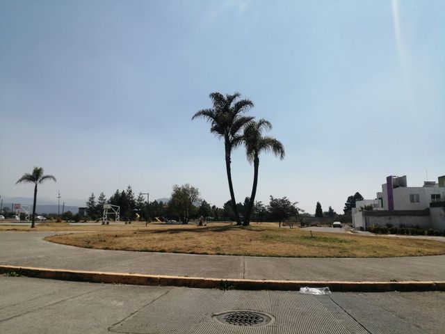 place photo 34