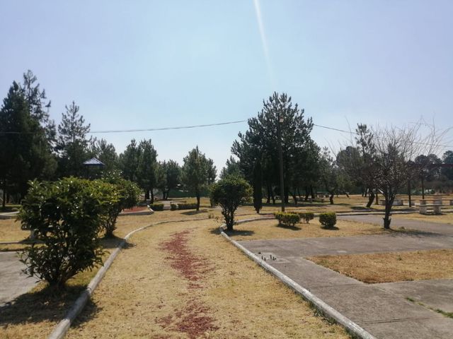 place photo 33
