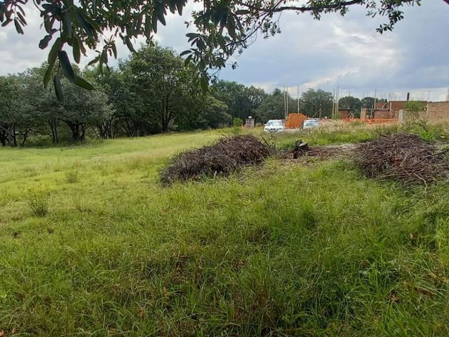 place photo 24