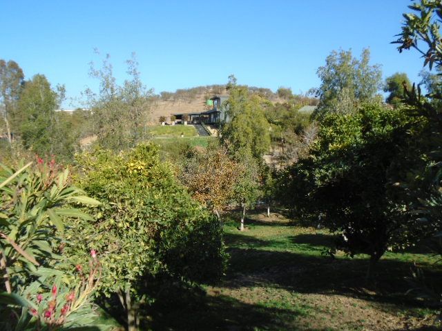 place photo 37