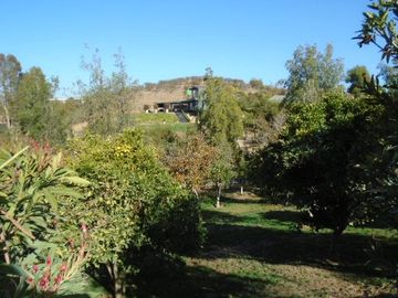 place photo 37