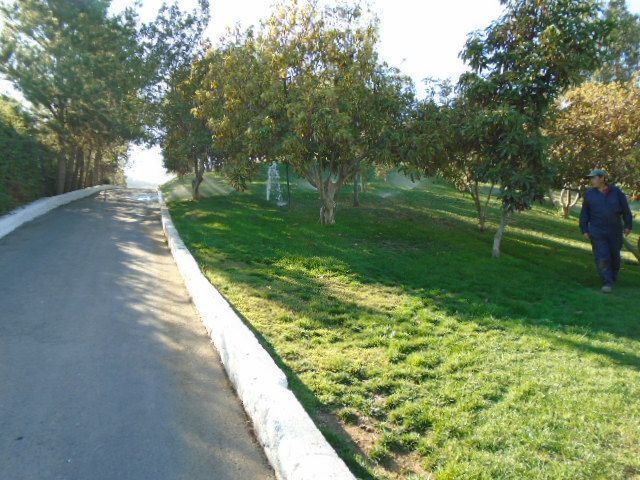 place photo 39