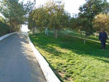 place photo 39
