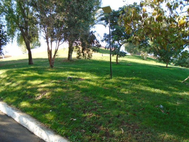 place photo 41