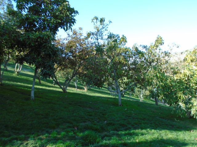 place photo 40