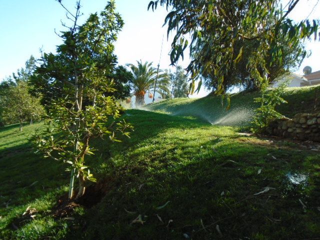 place photo 27