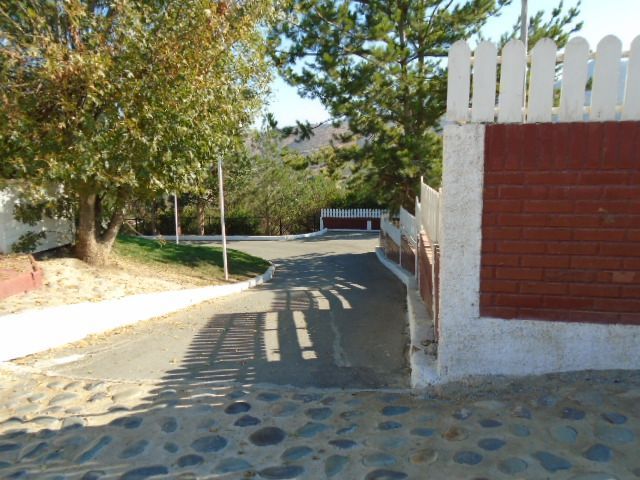 place photo 23