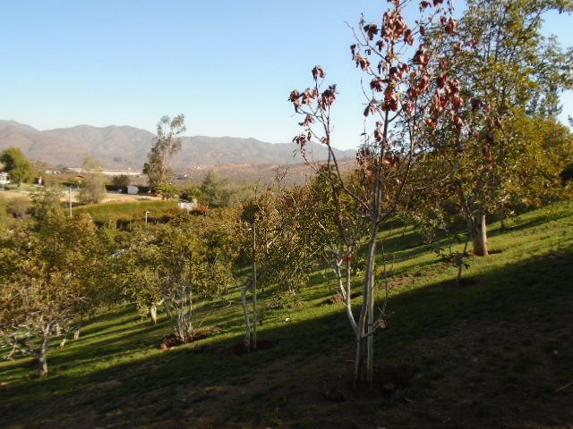 place photo 28