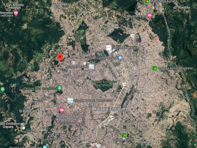 place photo 9