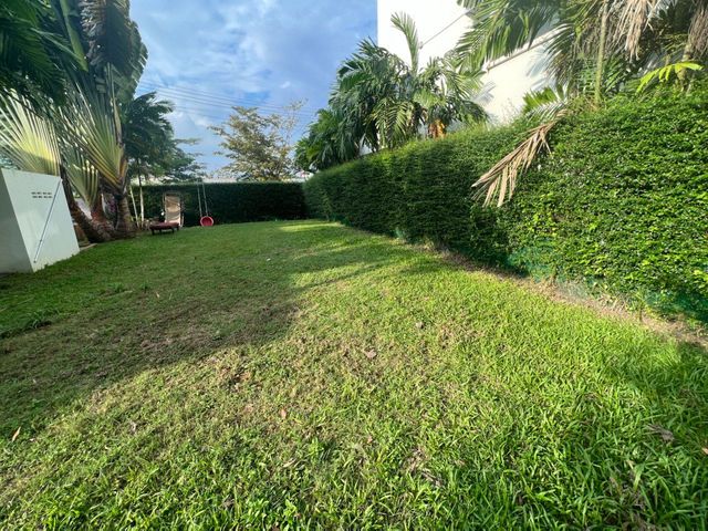 place photo 43