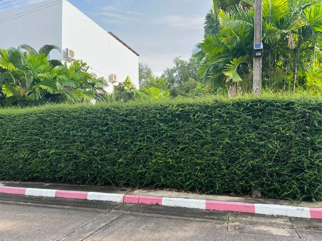 place photo 45