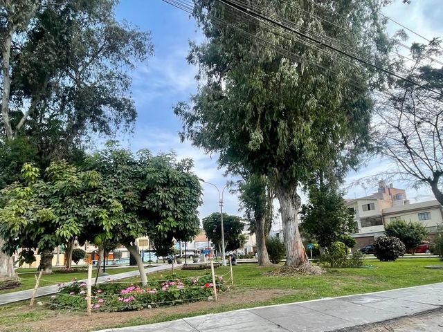 place photo 22
