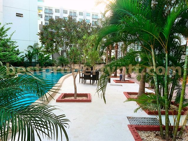 place photo 31
